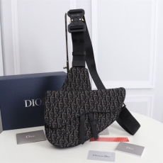 Christian Dior Saddle Bags